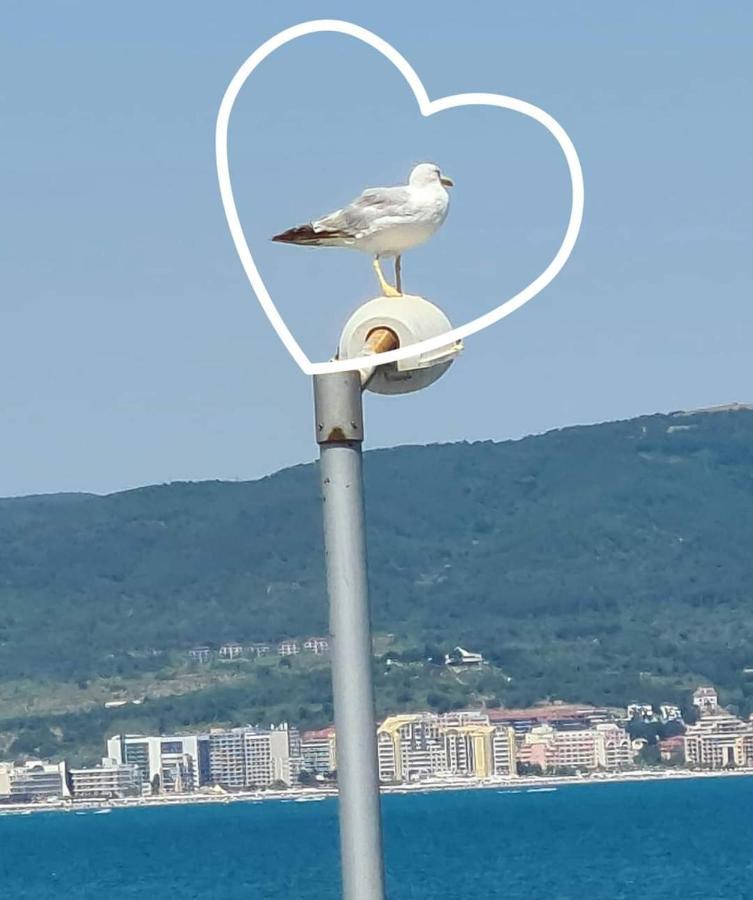 Sea View Private Studio Paradiso B 508 ネセバル エクステリア 写真